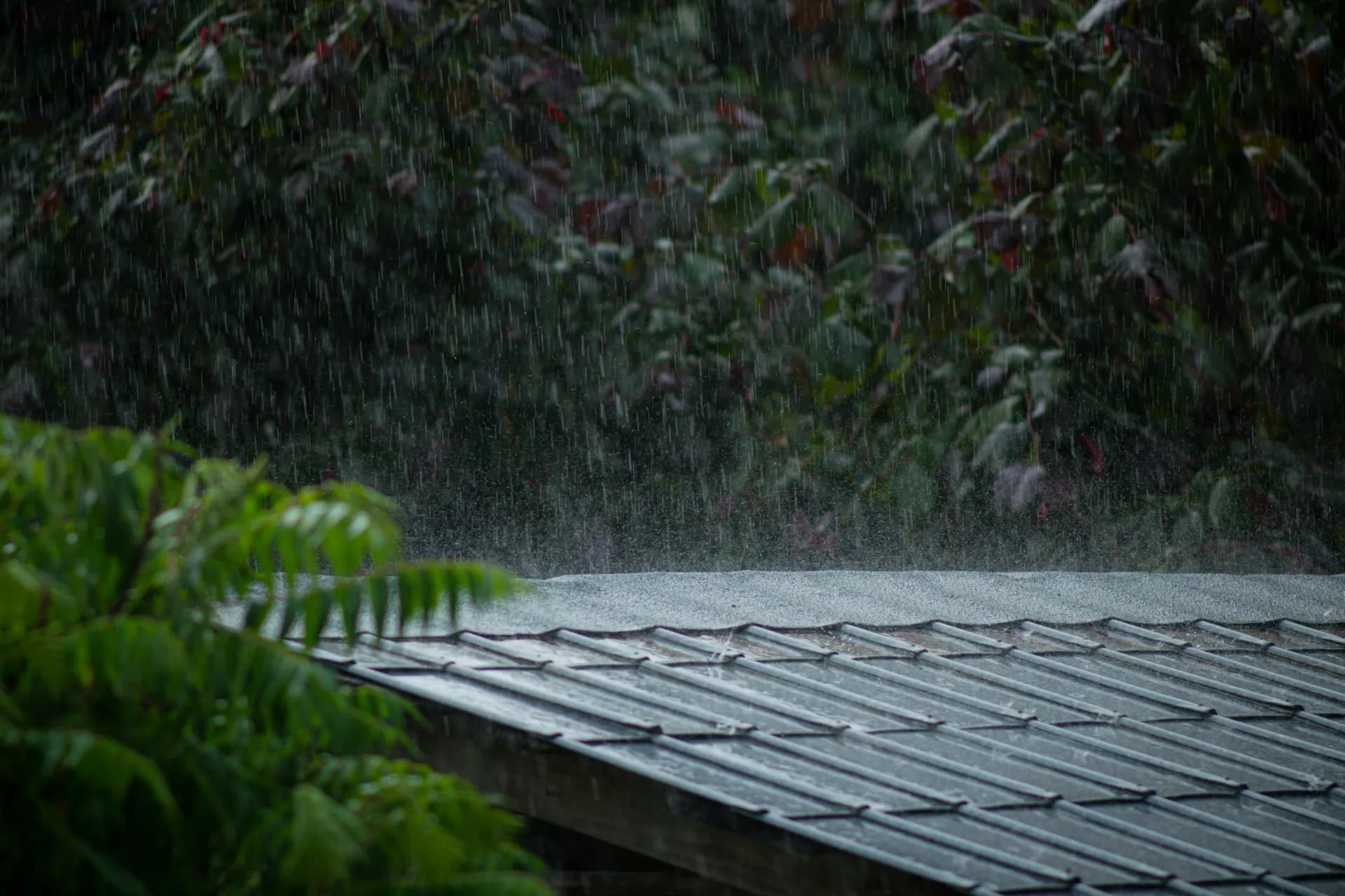 Heavy rain falling on a tiled roof with tropical plants and trees in the background during a storm