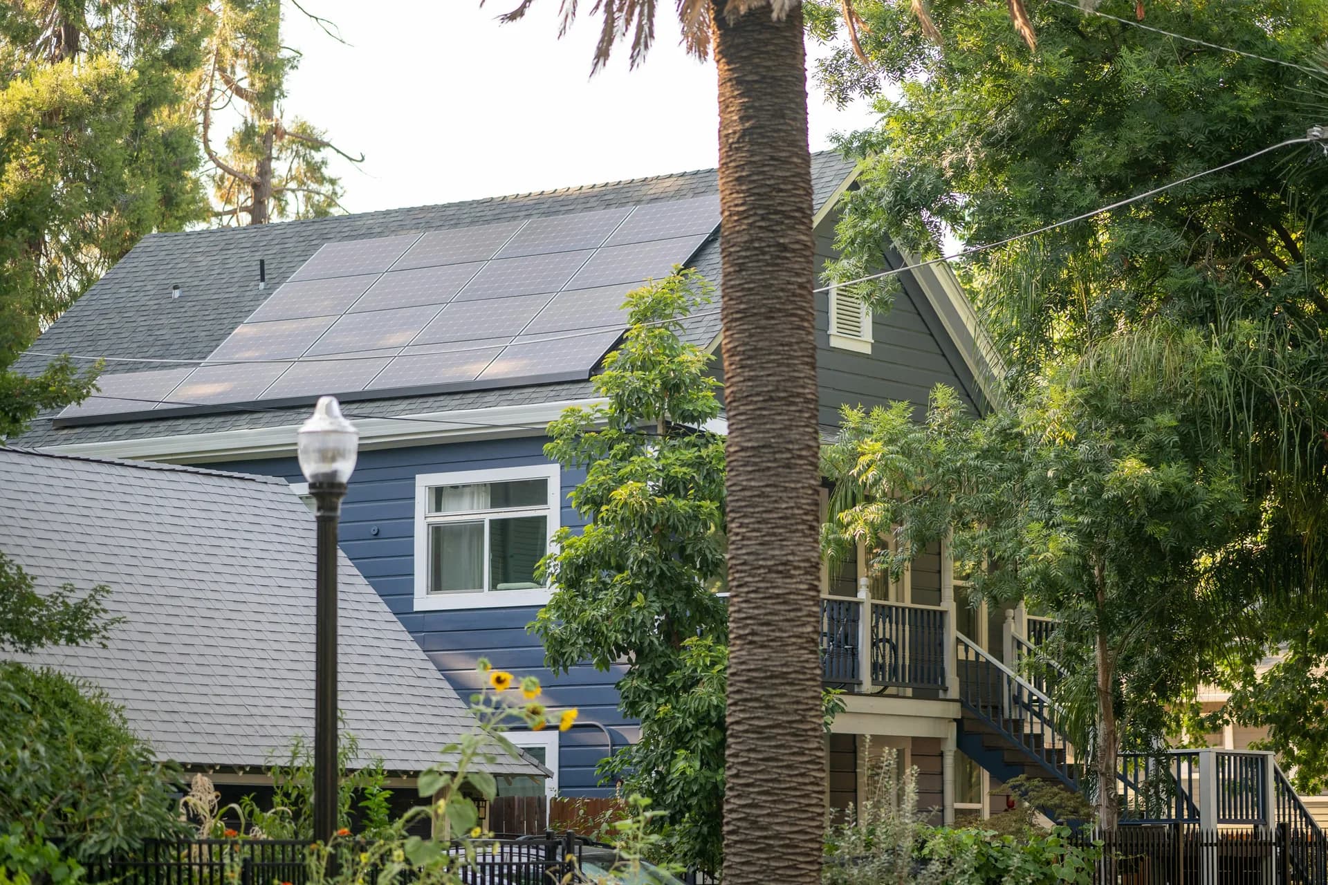 Blue house with solar panels on roof, palm tree and green vegetation in residential neighborhood