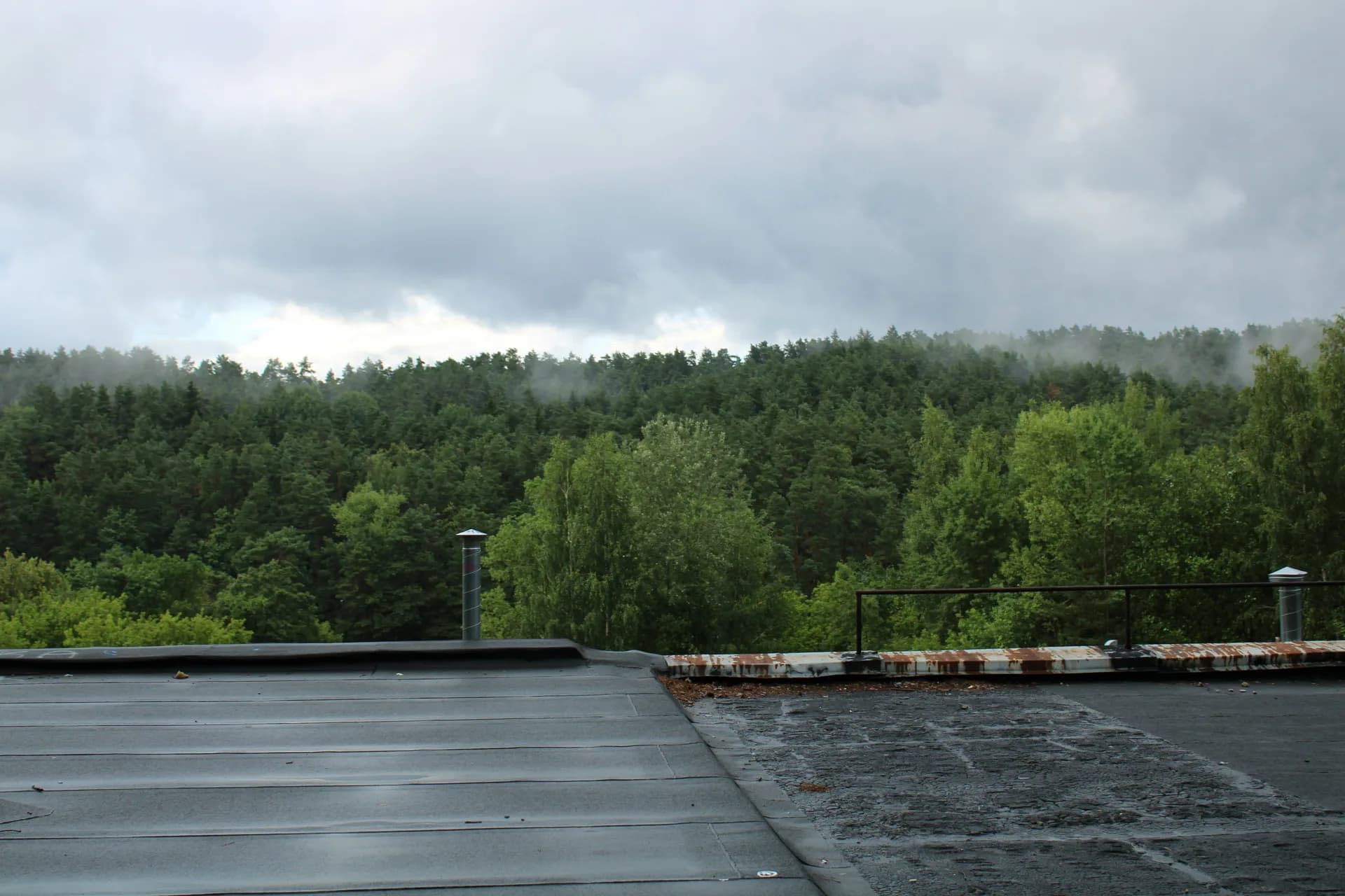 Industrial rooftop view overlooking dense green forest under cloudy, overcast sky with misty hills in background